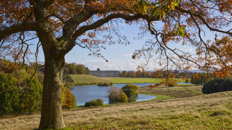 Autumn scene with house at Petworth, West Sussex